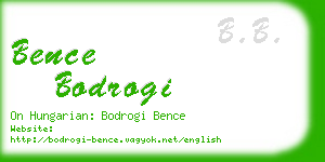 bence bodrogi business card